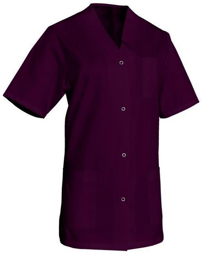 100138 - BLOUSE FEMME VIVIANE MC PRUNE