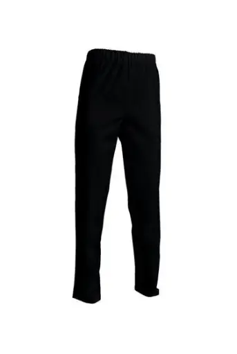 100235 - PANTALON FEMME ANDRE COULEUR