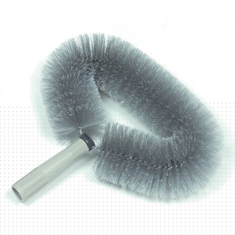 400019 - TETE DE LOUP OVALE