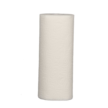 801036 - ESSUIE-TOUT 50 FTS 2PL GC BLANC